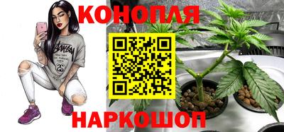 бошки Анжеро-Судженск