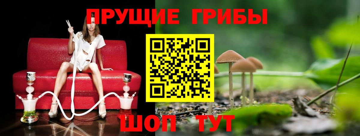 Галлюциногенные грибы мицелий  Галлюциногенные грибы мухоморы  Богданович  Вход с VPN 